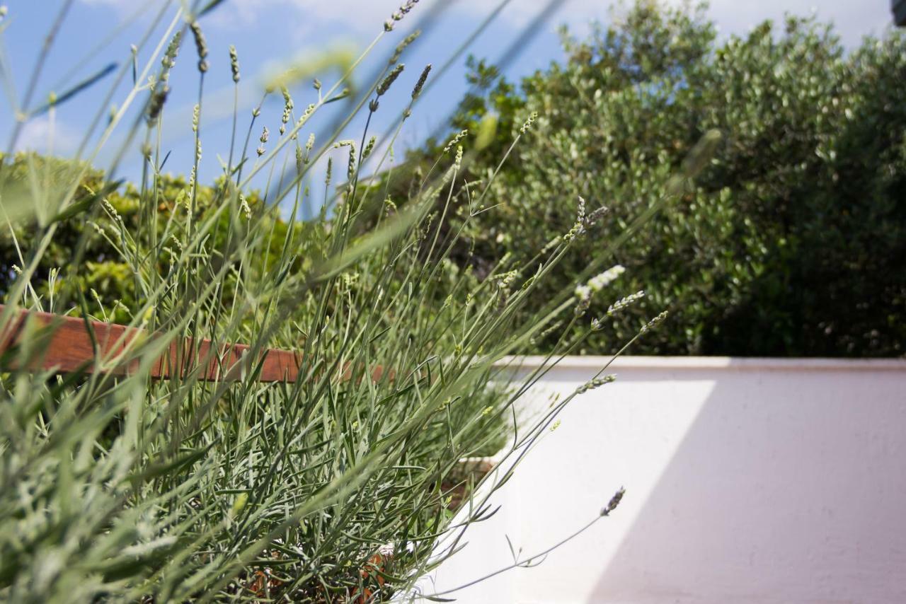Holiday Home Laurea Supetar Exterior foto